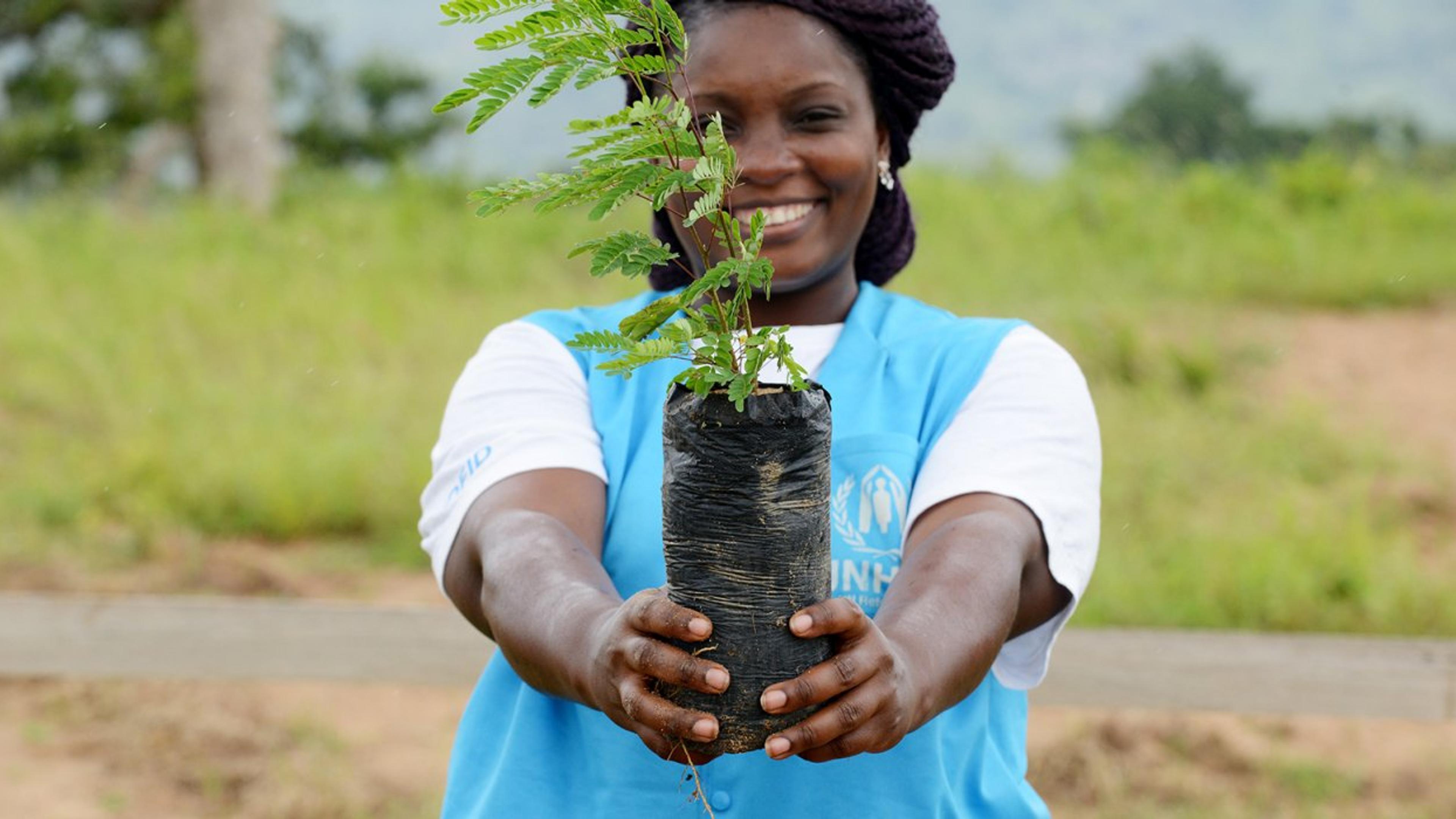 Woman holding a tiny planted tree