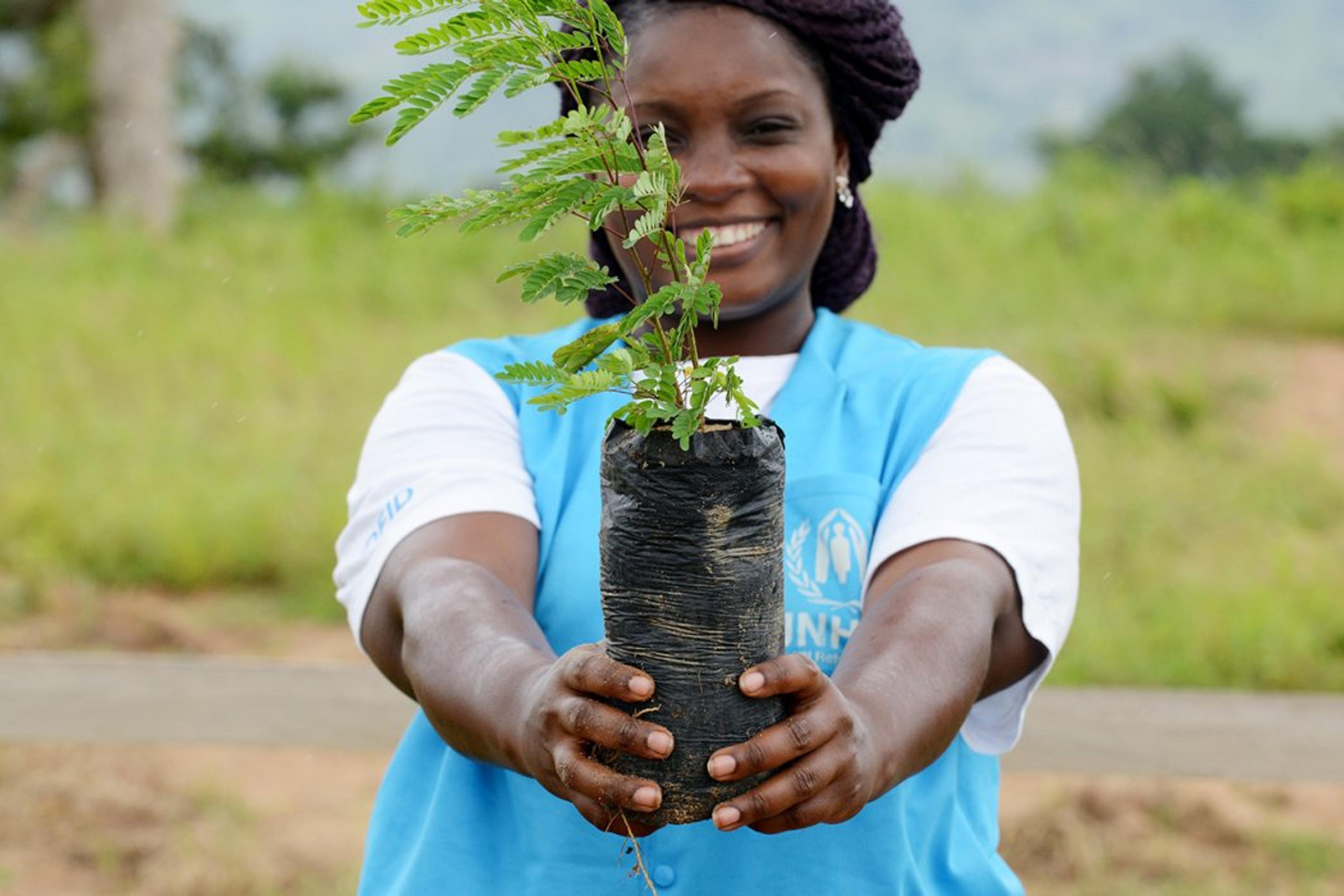 Woman holding a tiny planted tree