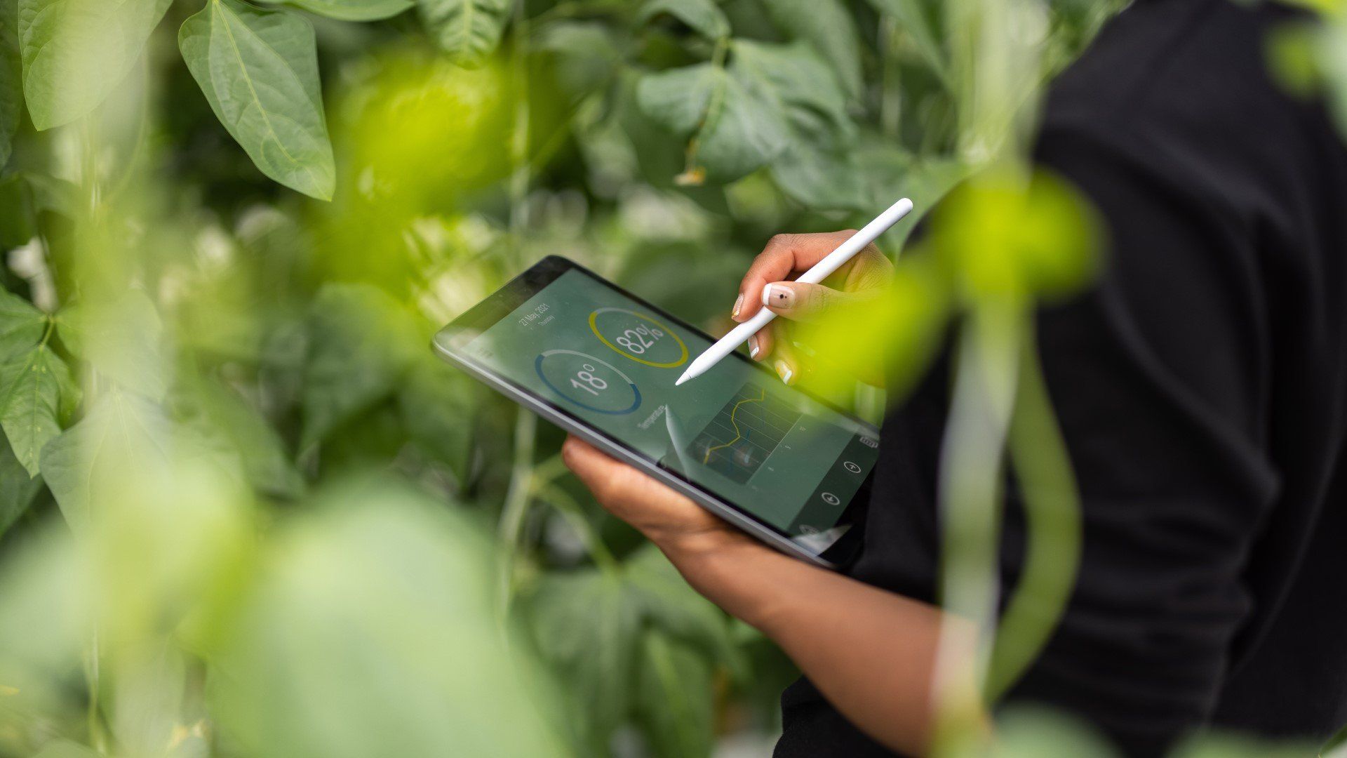 person som skriver på tablet mot grønn bakgrunn