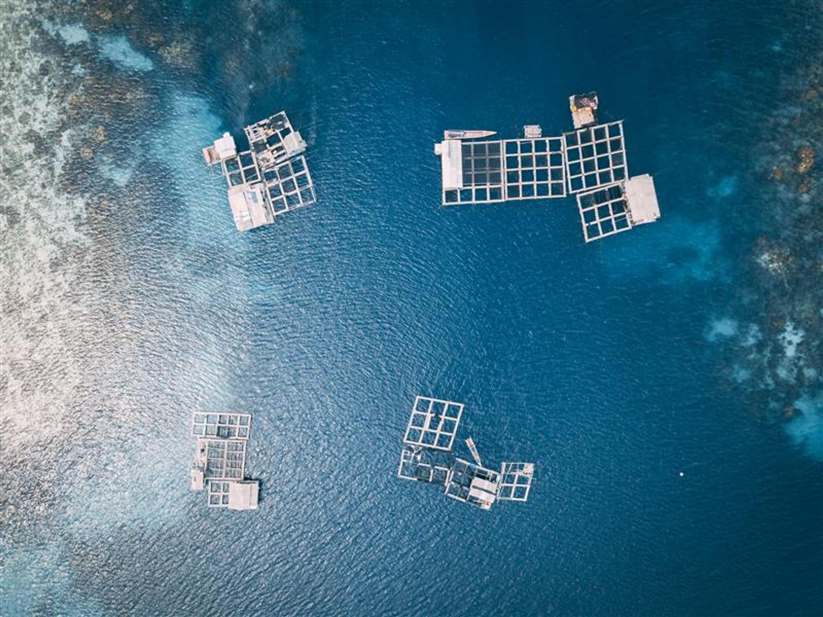 A photo of fish farming taken from above