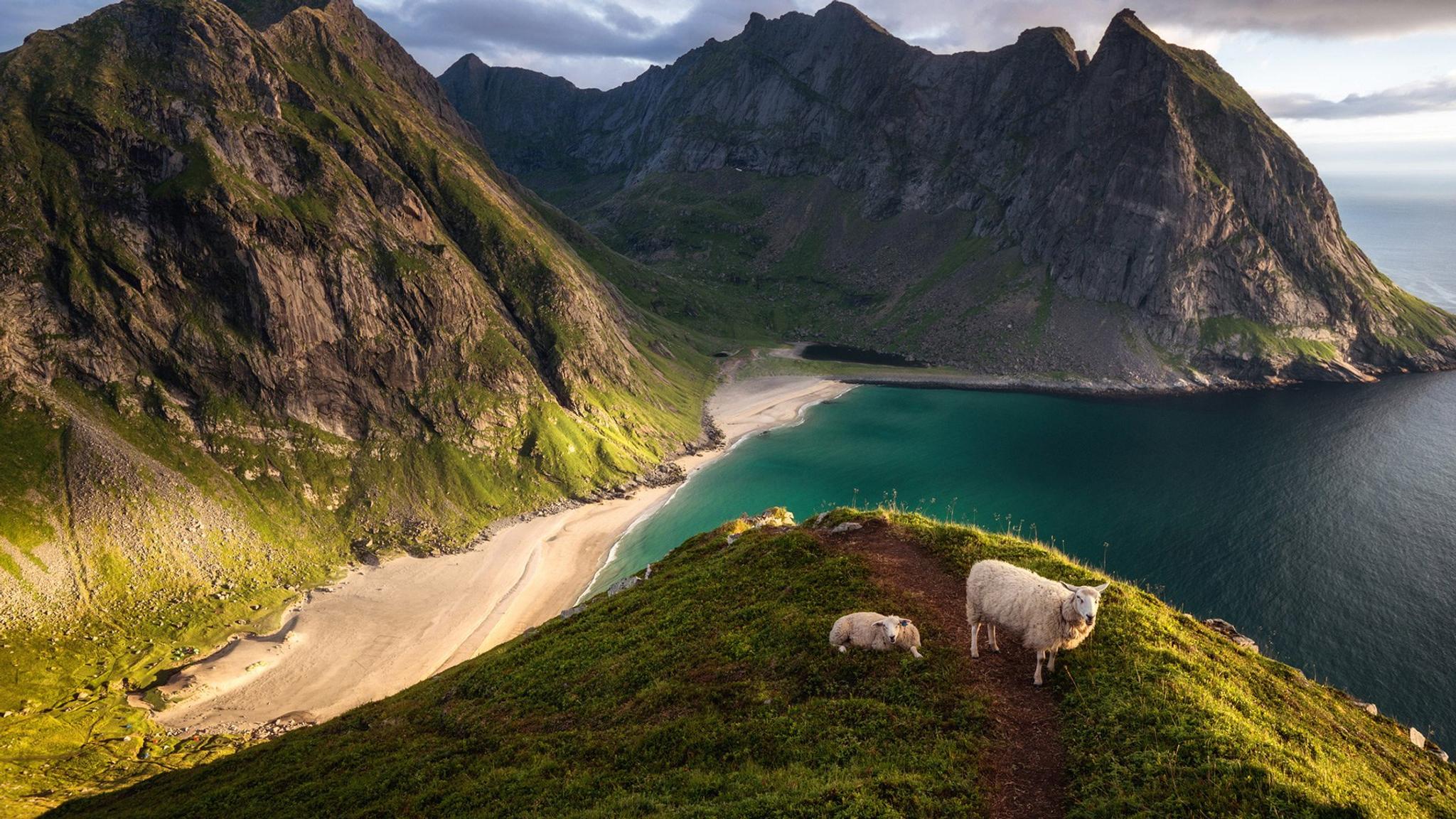 Nordland | Innovasjon Norge