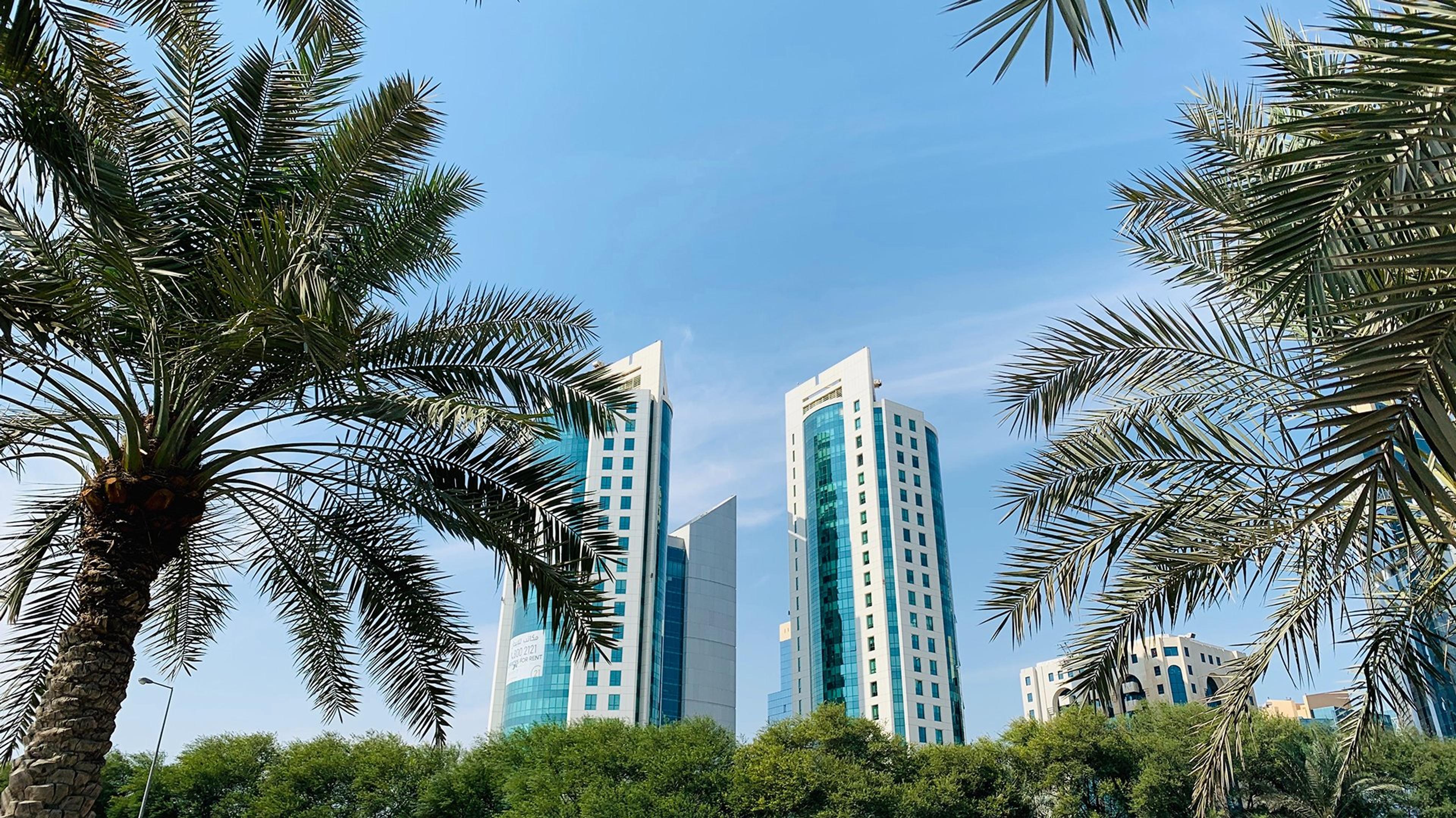Skyskrapere mot blå himmel med palmer i forgrunnen