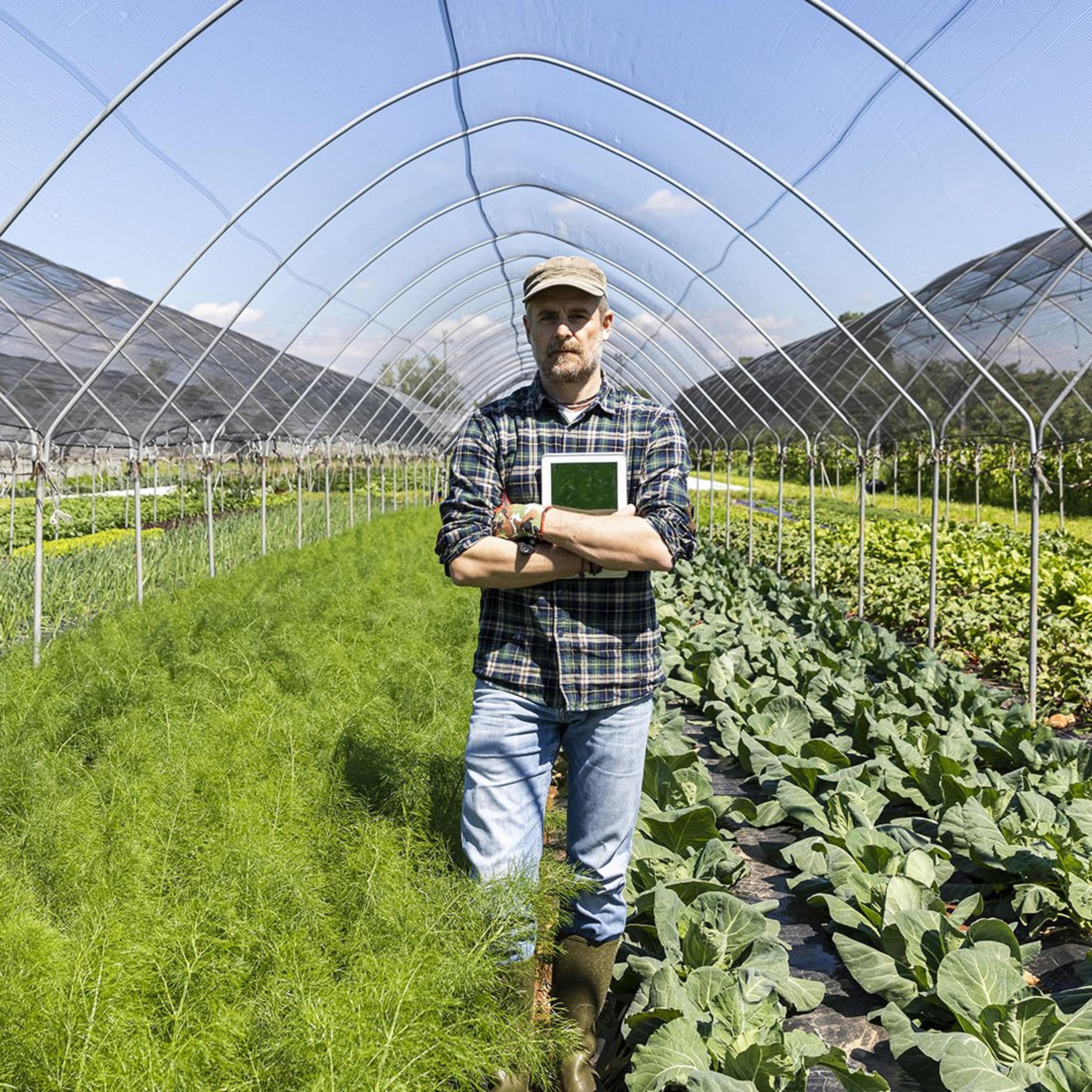 En grønnsaksbonde står midt blant de grønne vekstene