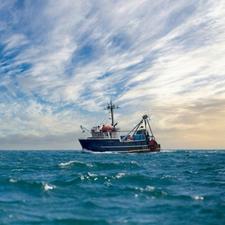 Fiskebåt på havet