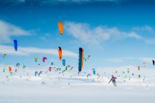 Many kiters in the snow.