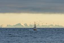 Sea fishing in Lofoten