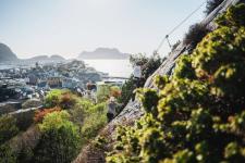 Via Ferrata in Aalesund, Norway. Girl climbing