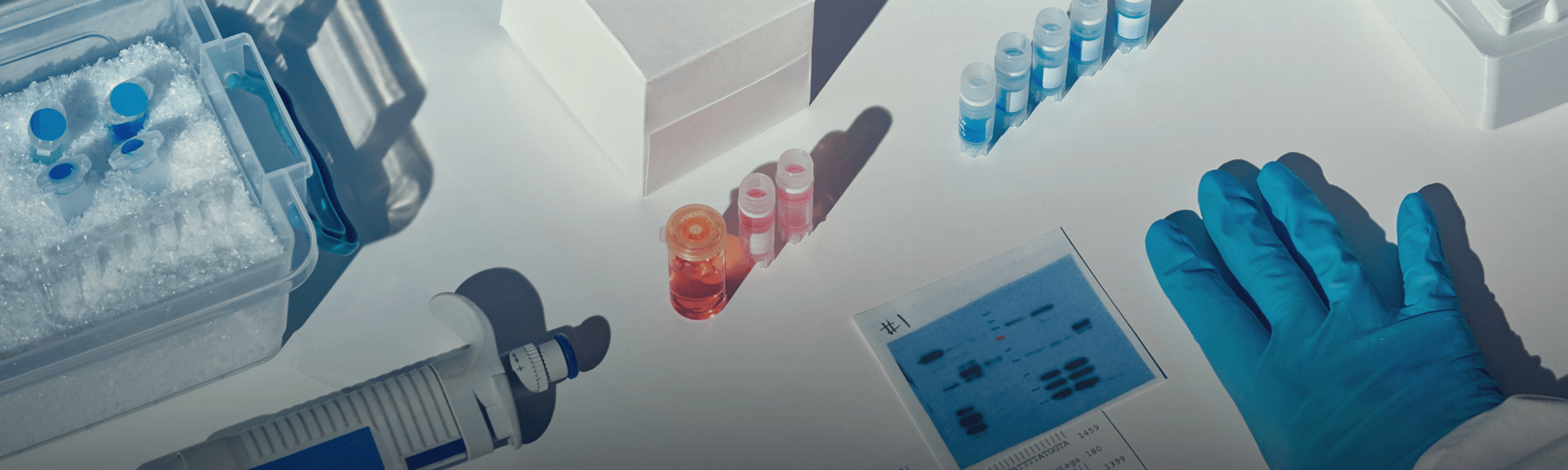 A closeup of a lab table with tests and a hand with a glove