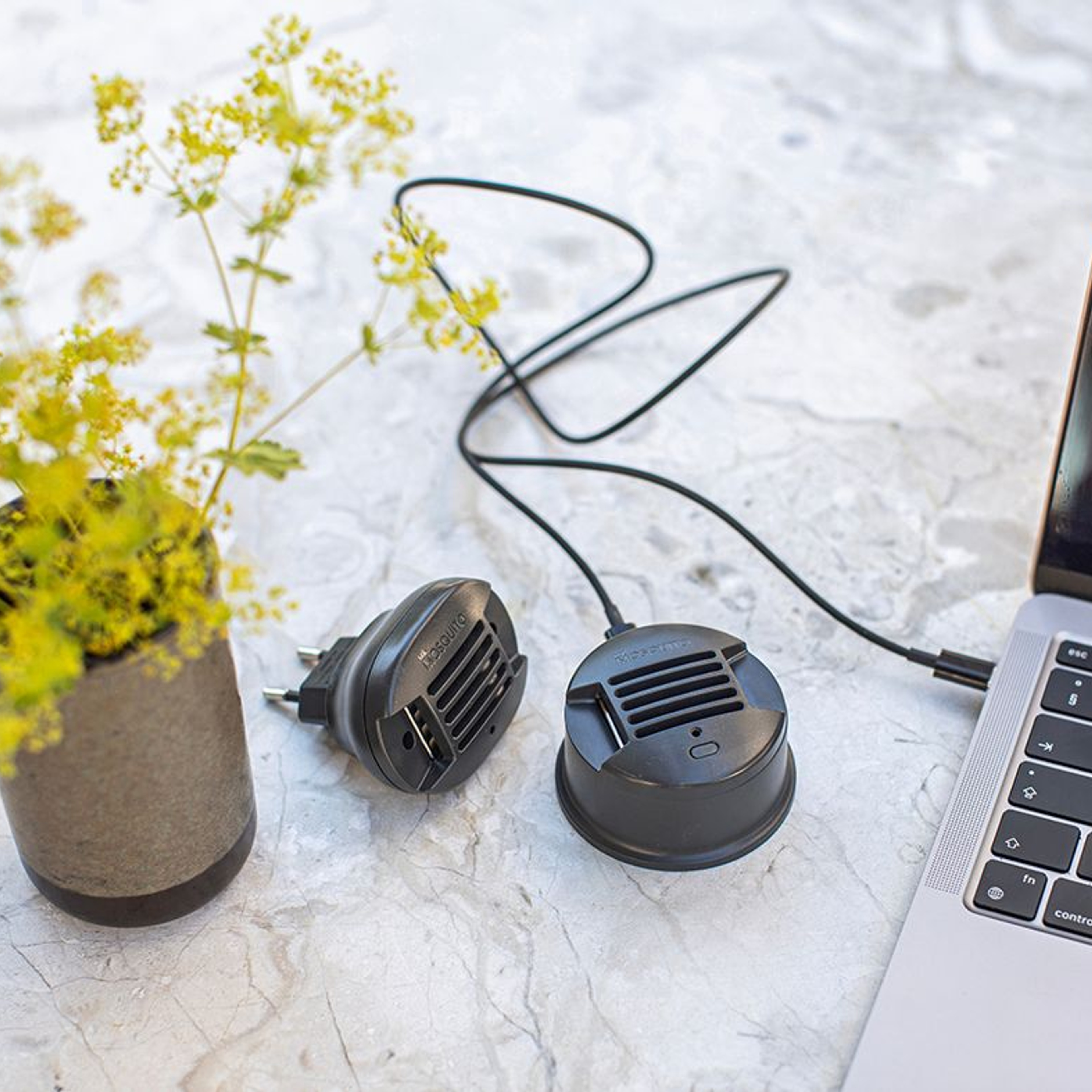 A mosquito product for indoor use