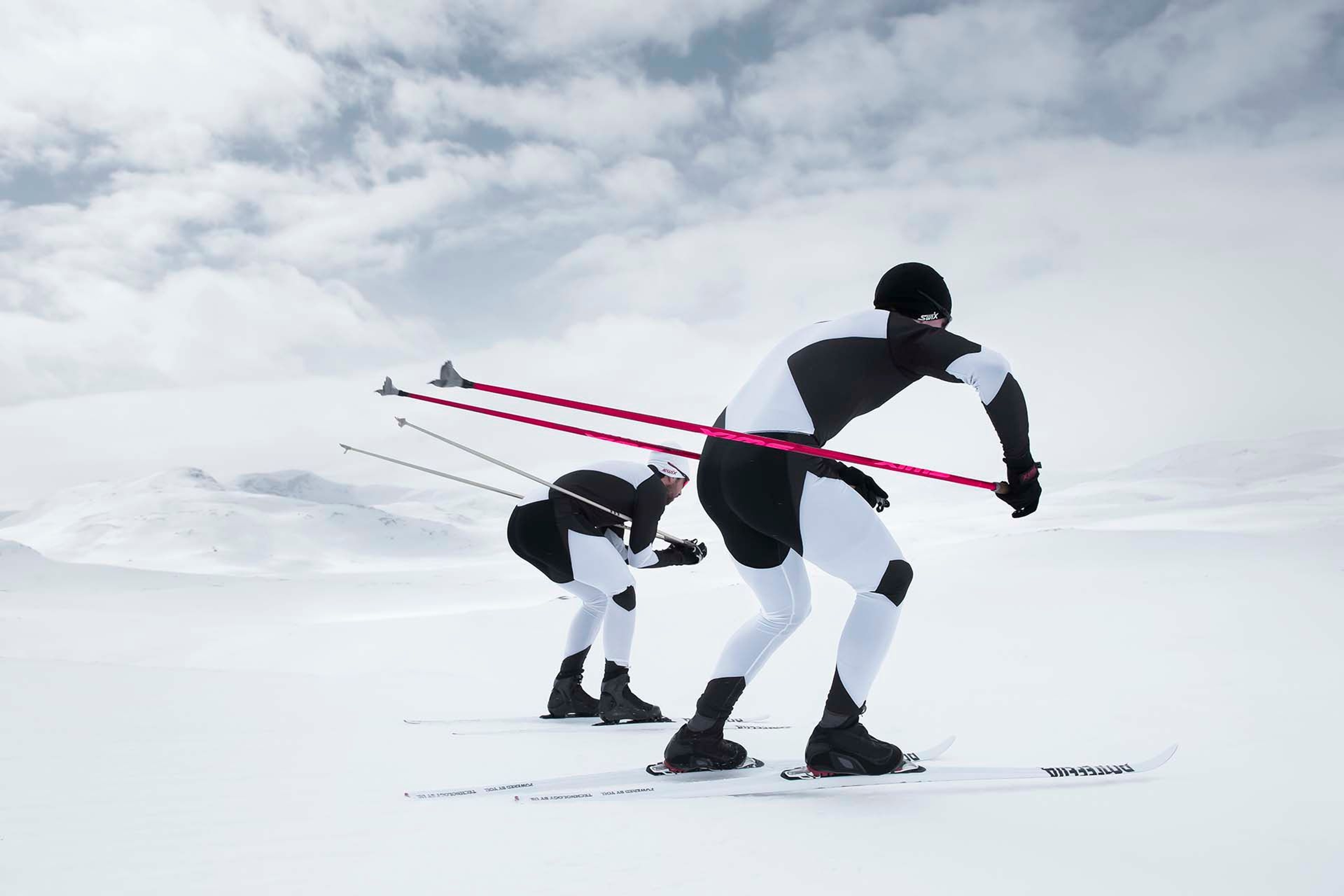 Two cross-country skiers racing across a snowy landscape.