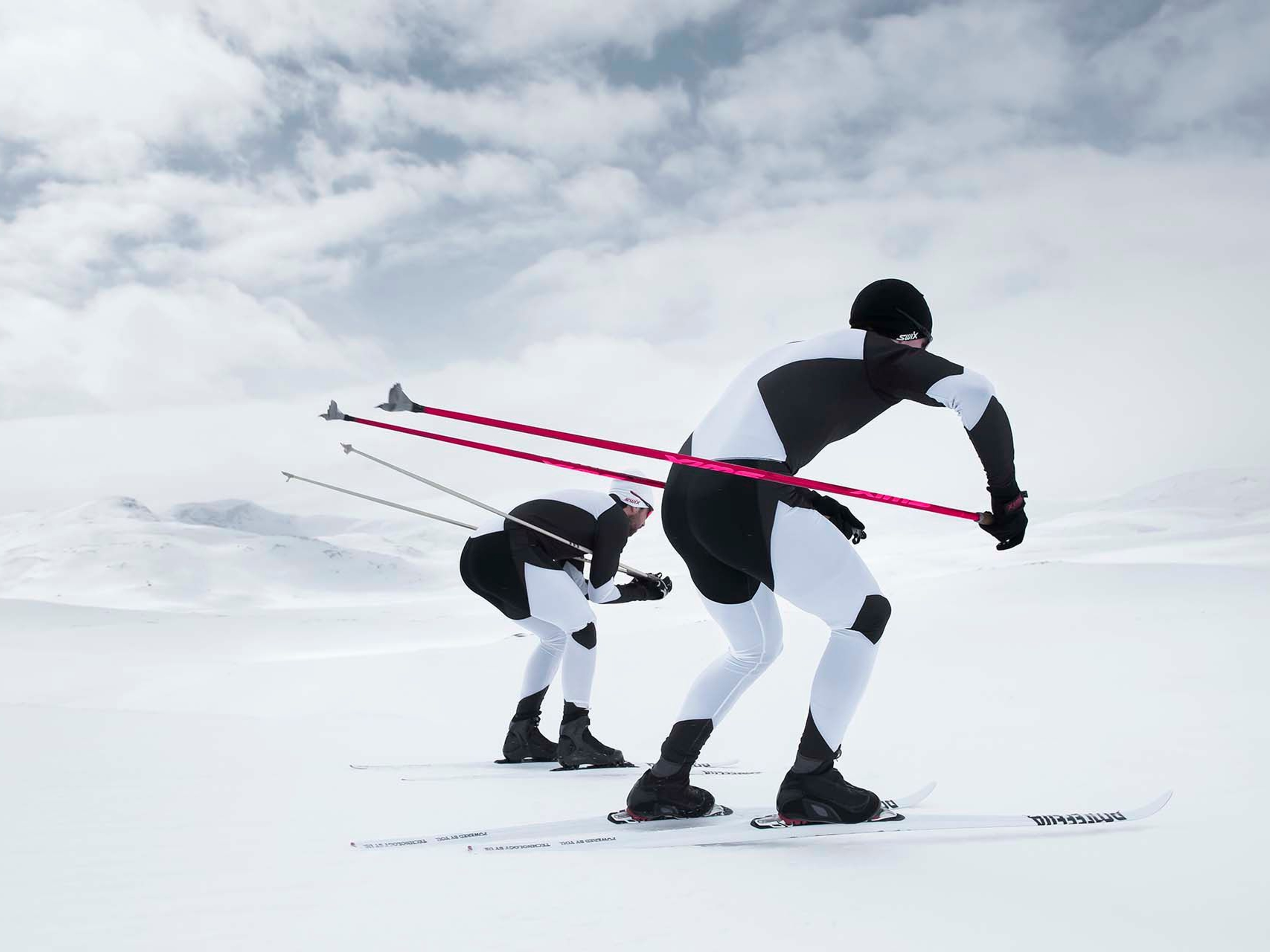 Two cross-country skiers racing across a snowy landscape.
