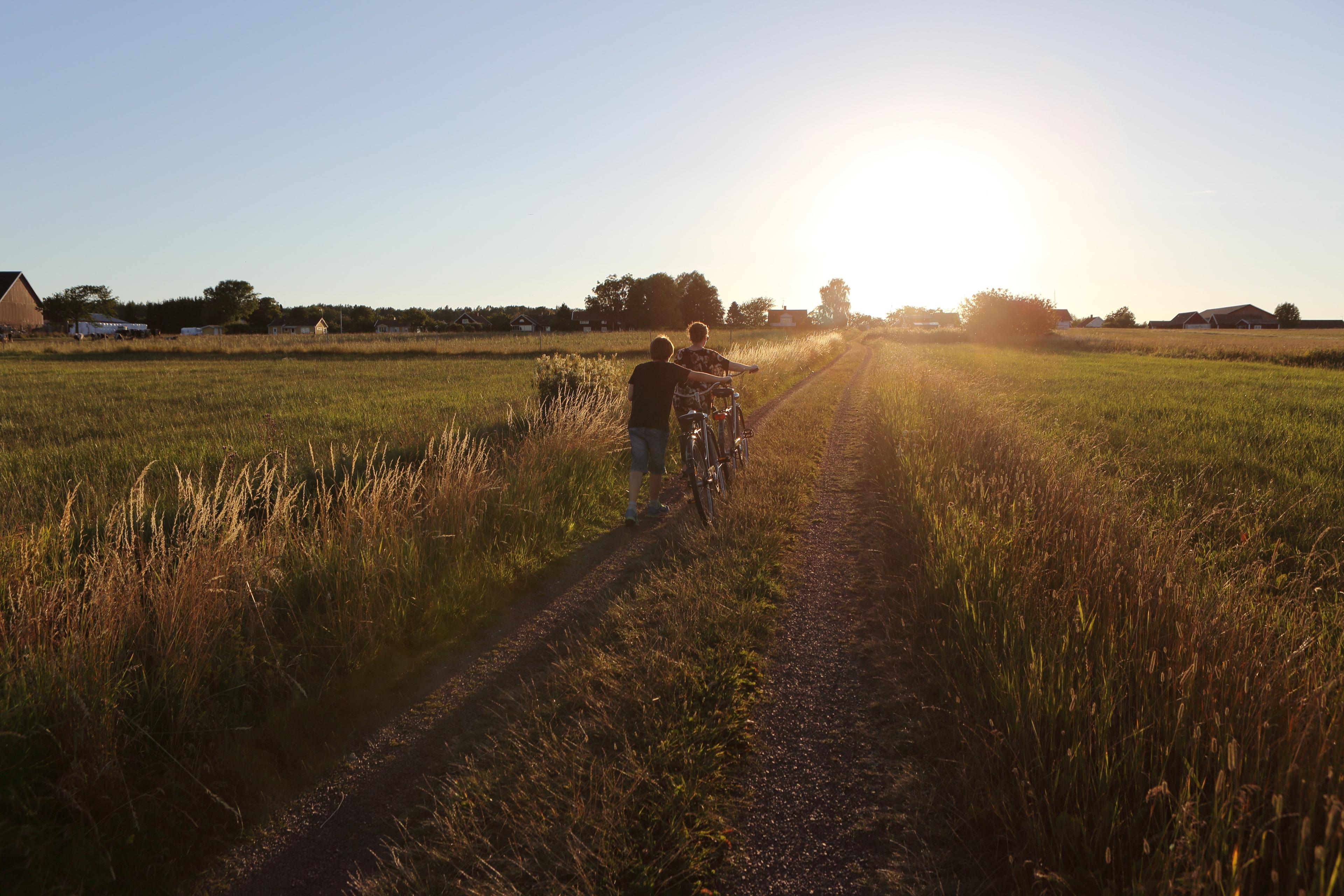 two children walking with their bicycles on a field of grass in the sunset