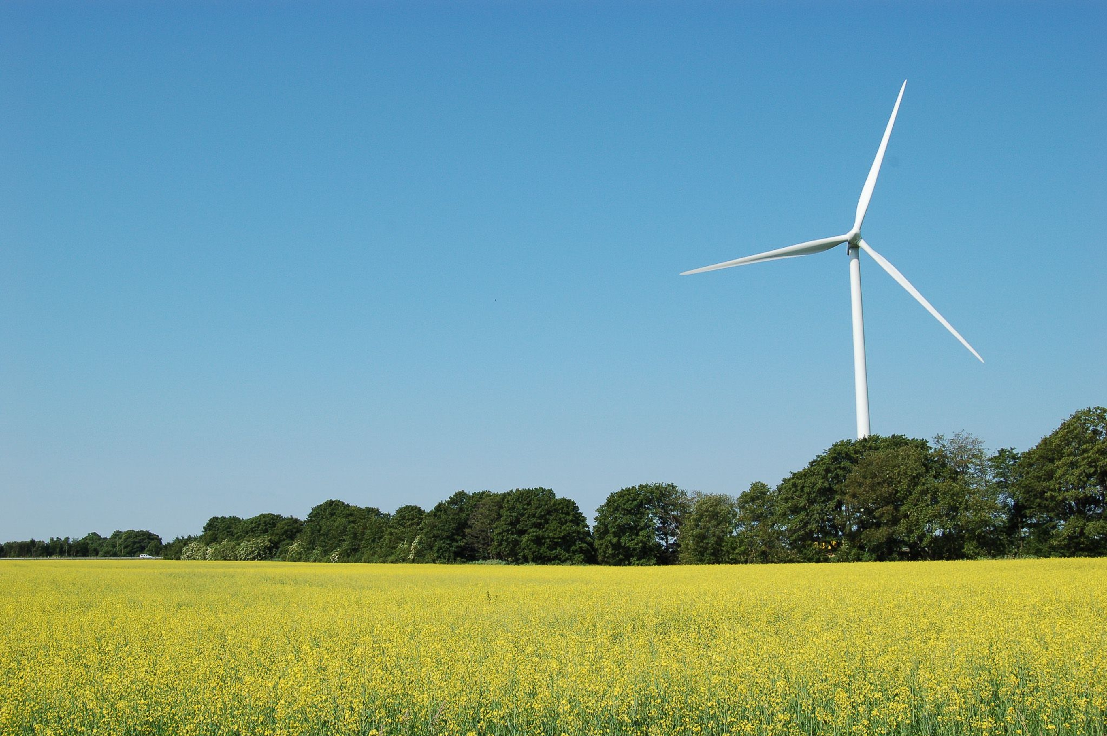 a wind turbine in a grass field