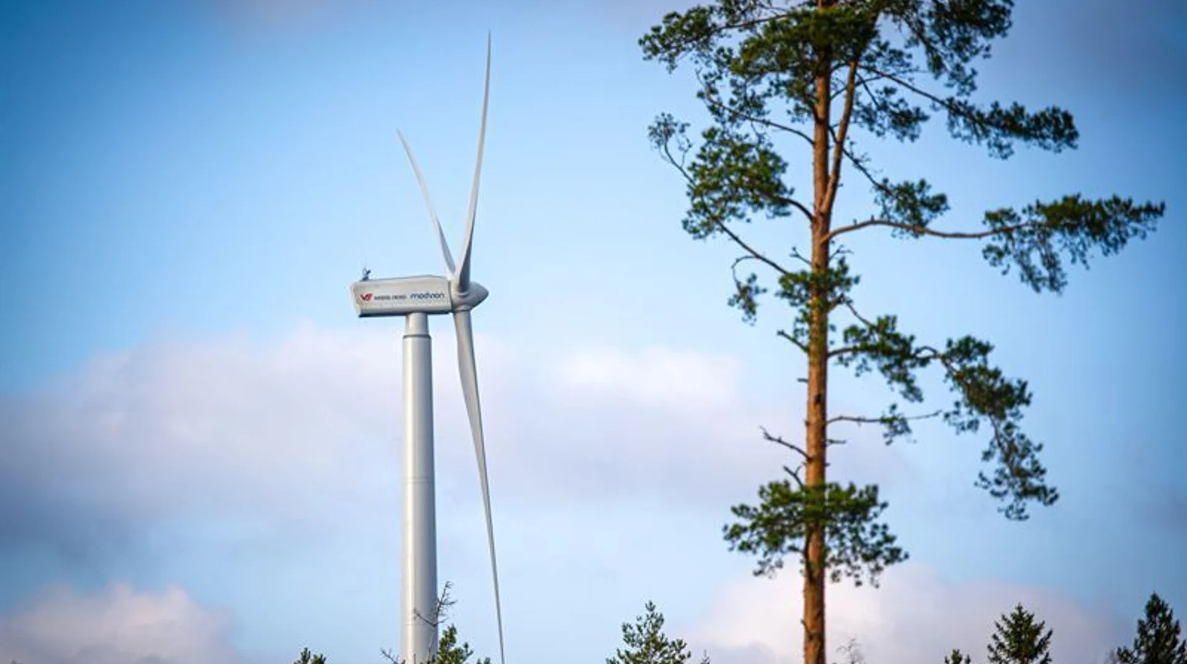Wind power tower standing in a forest.