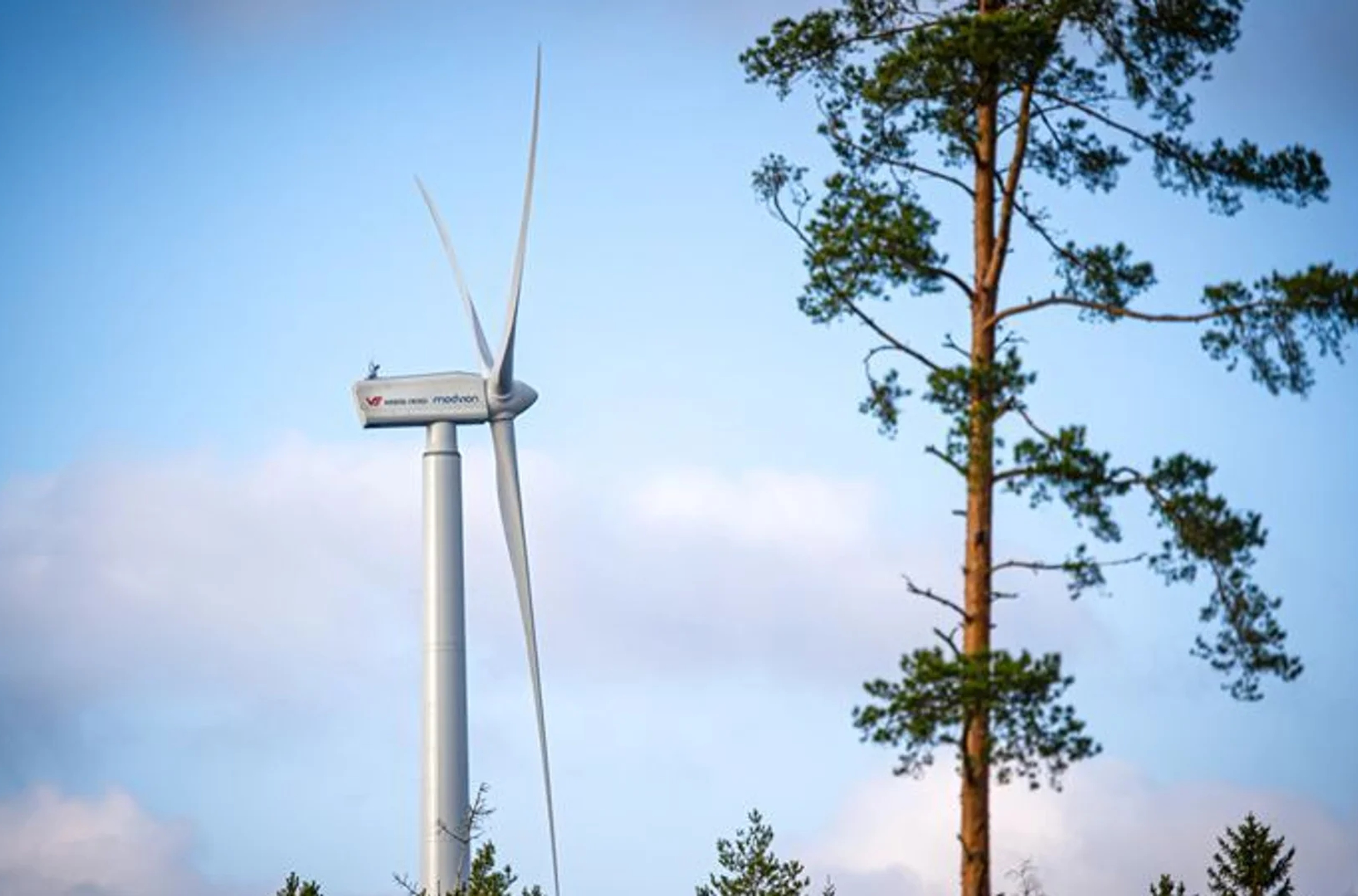 Torre de energia eólica erguida em uma floresta.