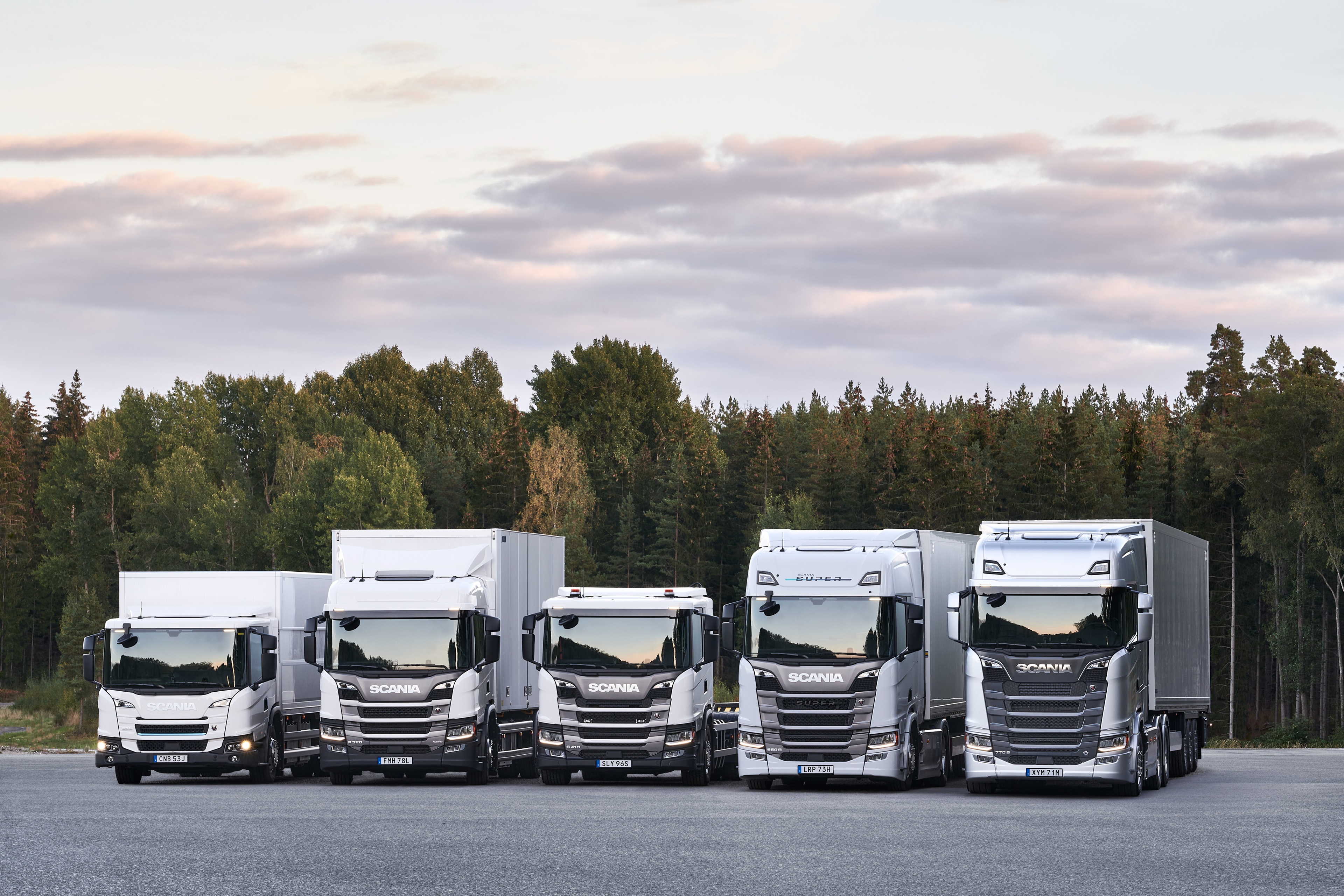A range of heavy trucks lined up in sunset, with a tree line in the background.