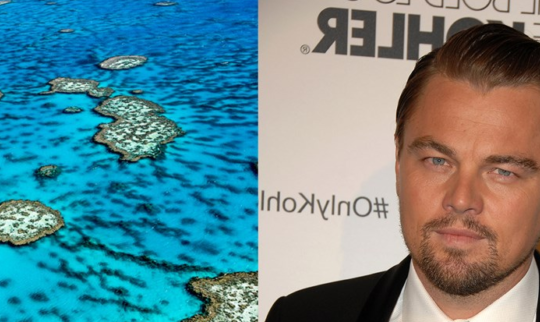 Leonardo DiCaprio: Great Barrier Reef is Being Devastated