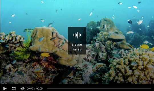 You could look after a piece of the Great Barrier Reef in your own fish tank