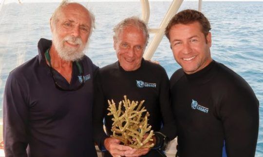 New coral species discovered in endangered Great Barrier Reef