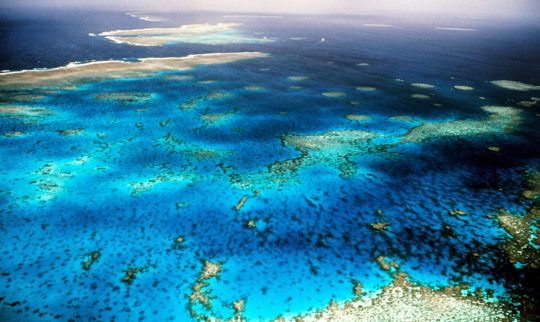 There's still time to save the Great Barrier Reef from dying