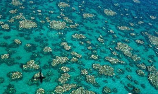 Third Great Barrier Reef bleaching event