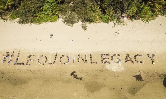 Port Douglas Sends Reef Message to Leonardo Dicaprio in Viral Video