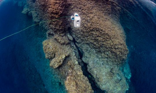 Blueye Robotics Launches the Deepest Underwater Explorer Drone in Australia for Consumers and Professionals