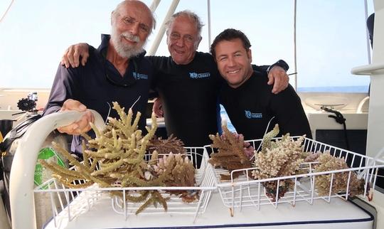 World's First Coral Biobank in Port Douglas Key to Reef Survival