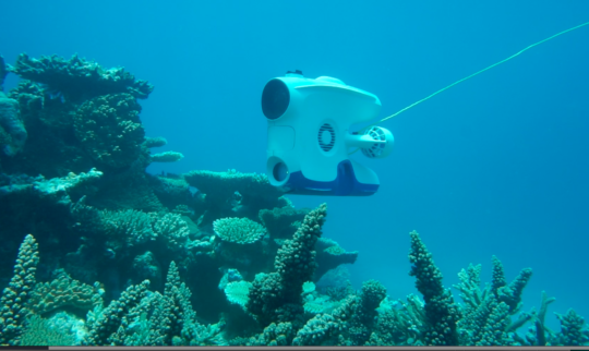 Underwater drone reveals important secrets of the Great Barrier Reef