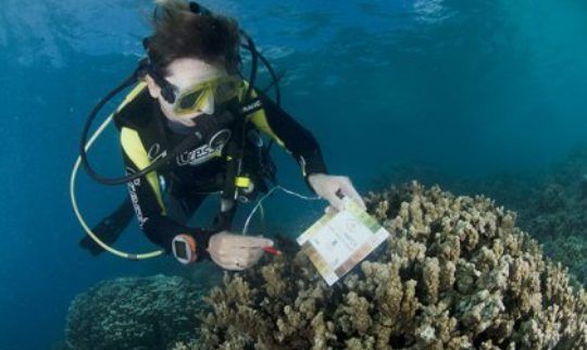 Setting sail to save the Great Barrier Reef