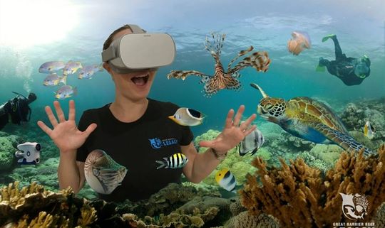 Experience the Great Barrier Reef Without Getting Wet