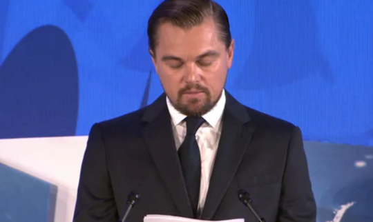 Legacy want Leonardo Dicaprio to Join Reef Fight in Port Douglas
