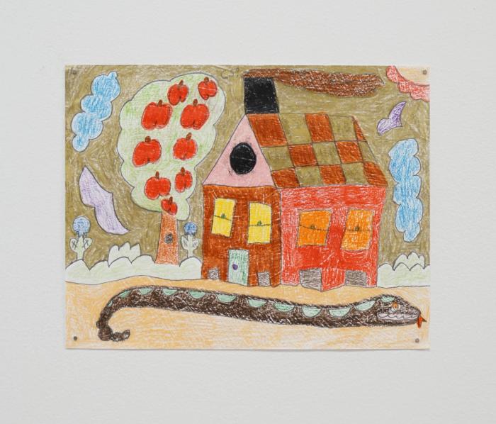 a small colored pencil drawing on paper of a house with many colors. the roof is checkered and the windows are yellow and orange. on the ground in front is a big snake and there is an apple tree out back