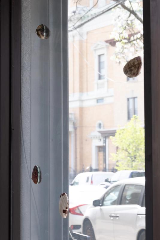 a view out a window onto a street taken from an angle. stuck to the glass are three gray oyster shells and a white scallop shell. 
