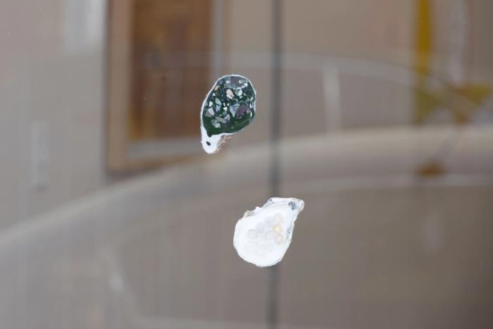two oyster shells are pressed against a reflective glass surface. one is full of a particulate material with colored fine ground and multicolored pebbles all ground flat and the other has white inside and off white round shapes inset. behind is a gallery space with out of focus artworks visible and theres a reflection of cars on the glass.