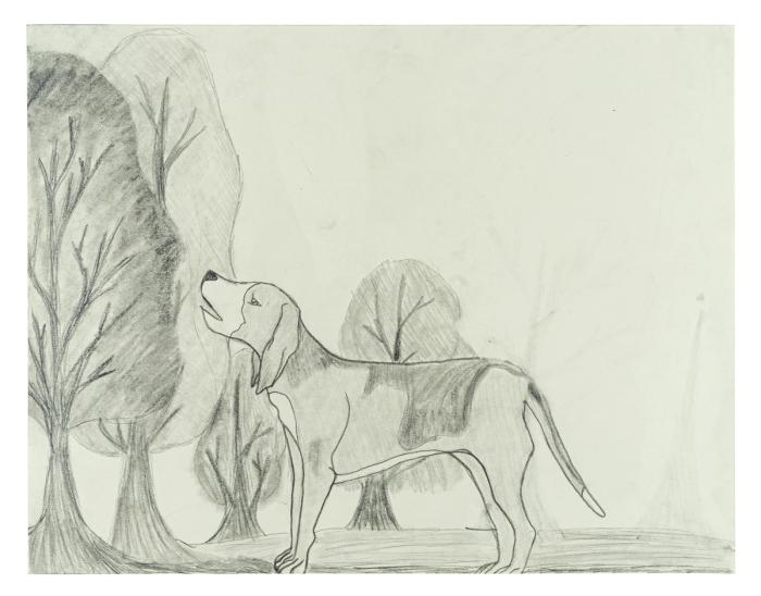 a pencil drawing of a dog in front of four trees. the paper is a soft grey color and the dog is outlined in darkly drawn pencil. 