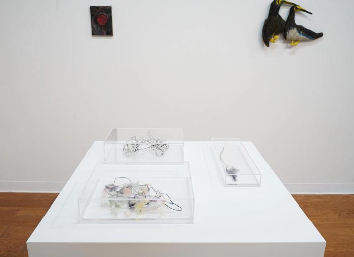 small wirey sculptures in plexi glass boxes on top of a white pedestal. the sculptures have lightly colored leaves barely visible.