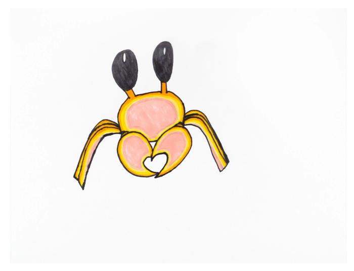 A marker on paper drawing of a pink, yellow, and orange snow crab on white paper.
