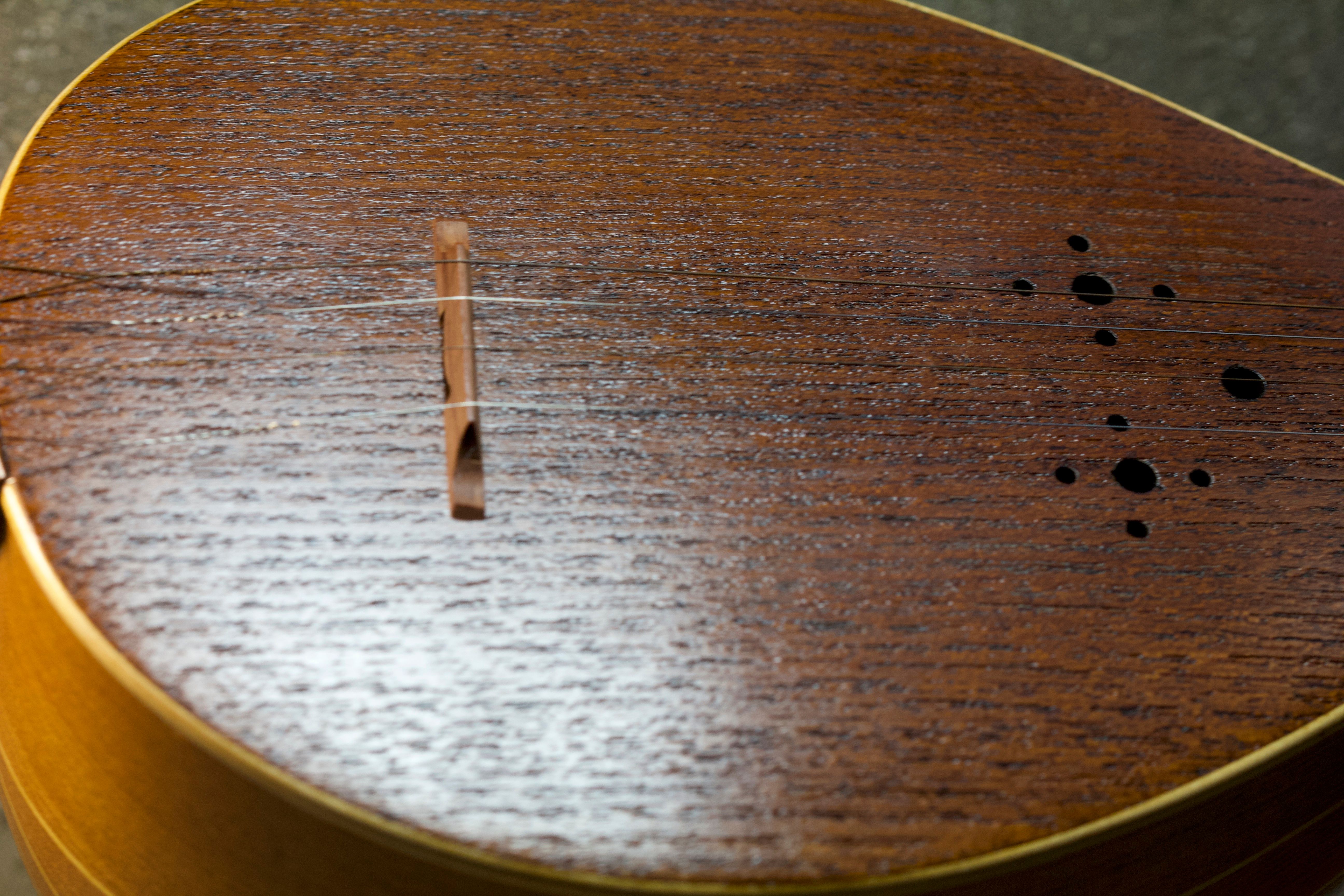 A close up photo of the body of Maral's sitar made out of a dark wood in front of an out of focus gray background. 