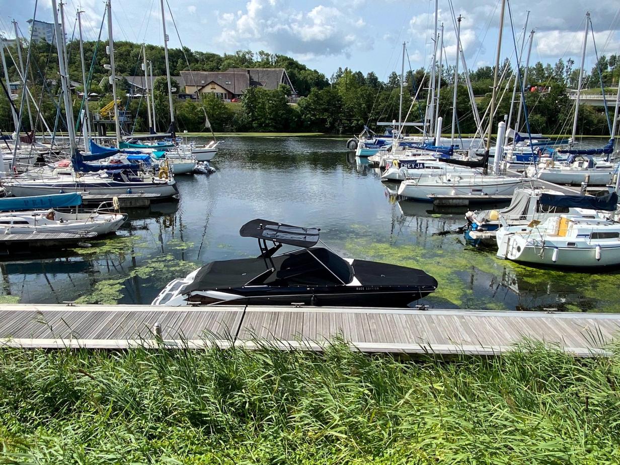 Scarab 255 Race Edition Power Boat For Sale
