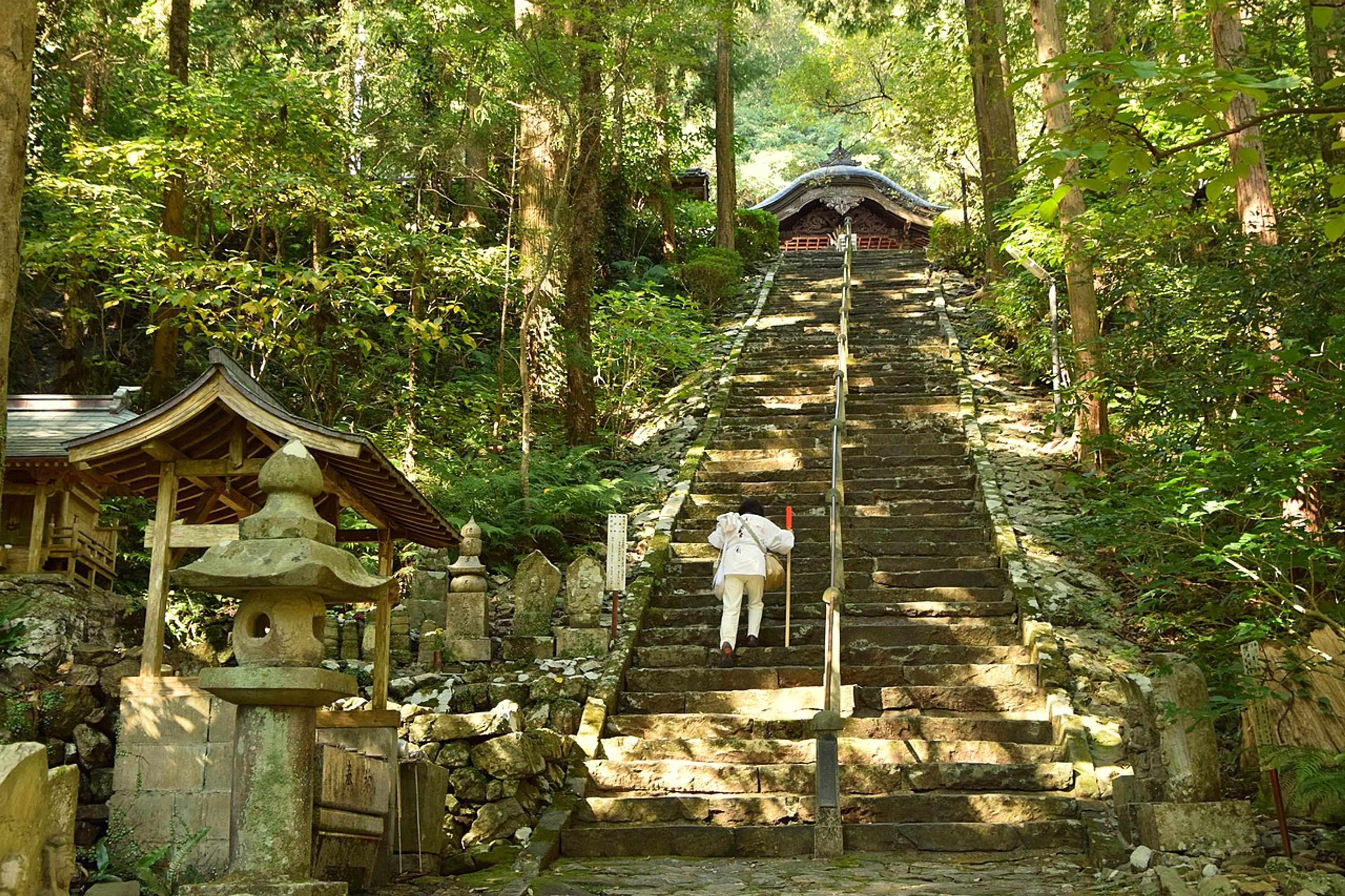 A Week on Kobo Daishi's Trail