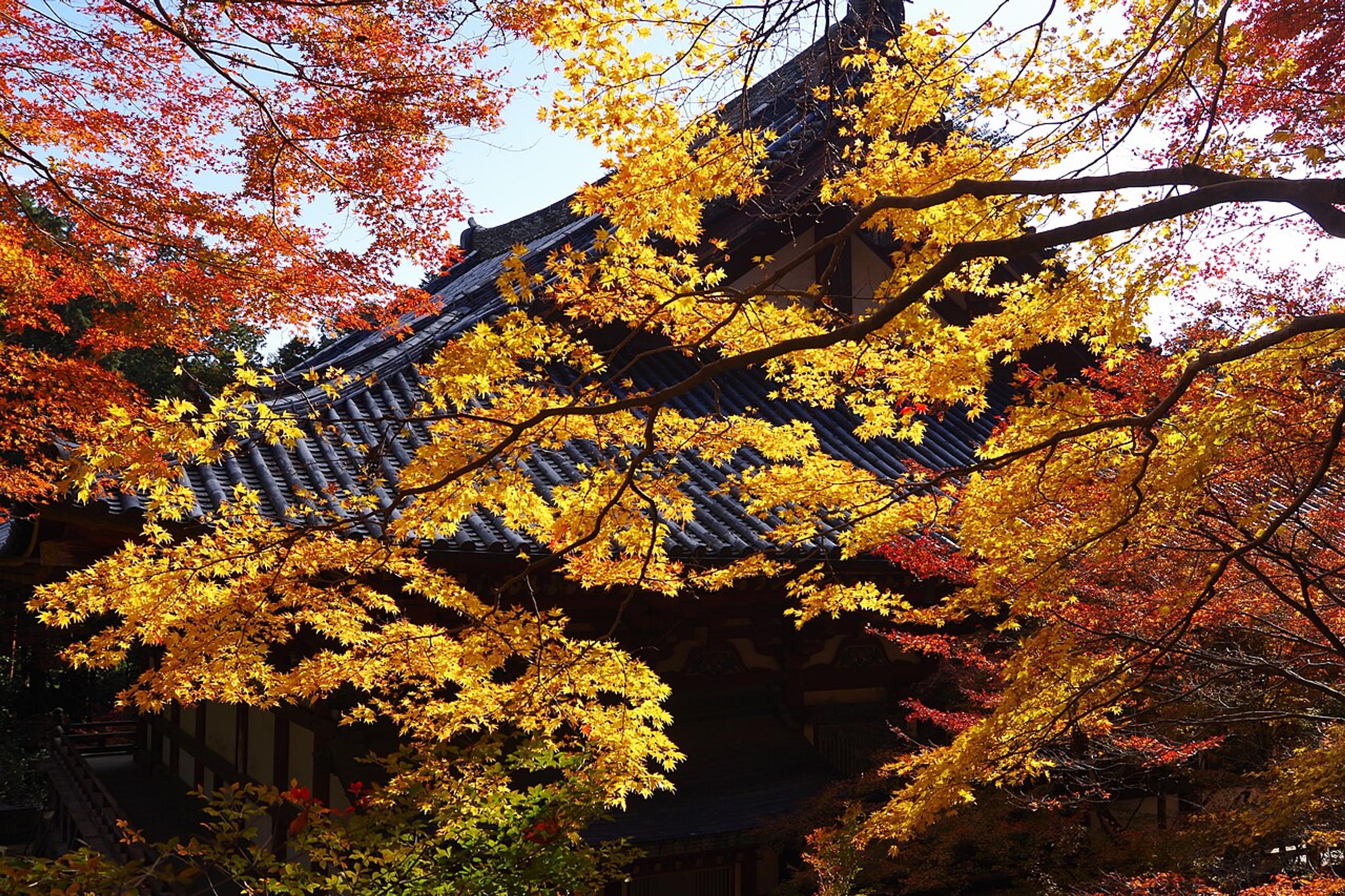 Kansai: Beyond Kyoto's Golden Pavilion