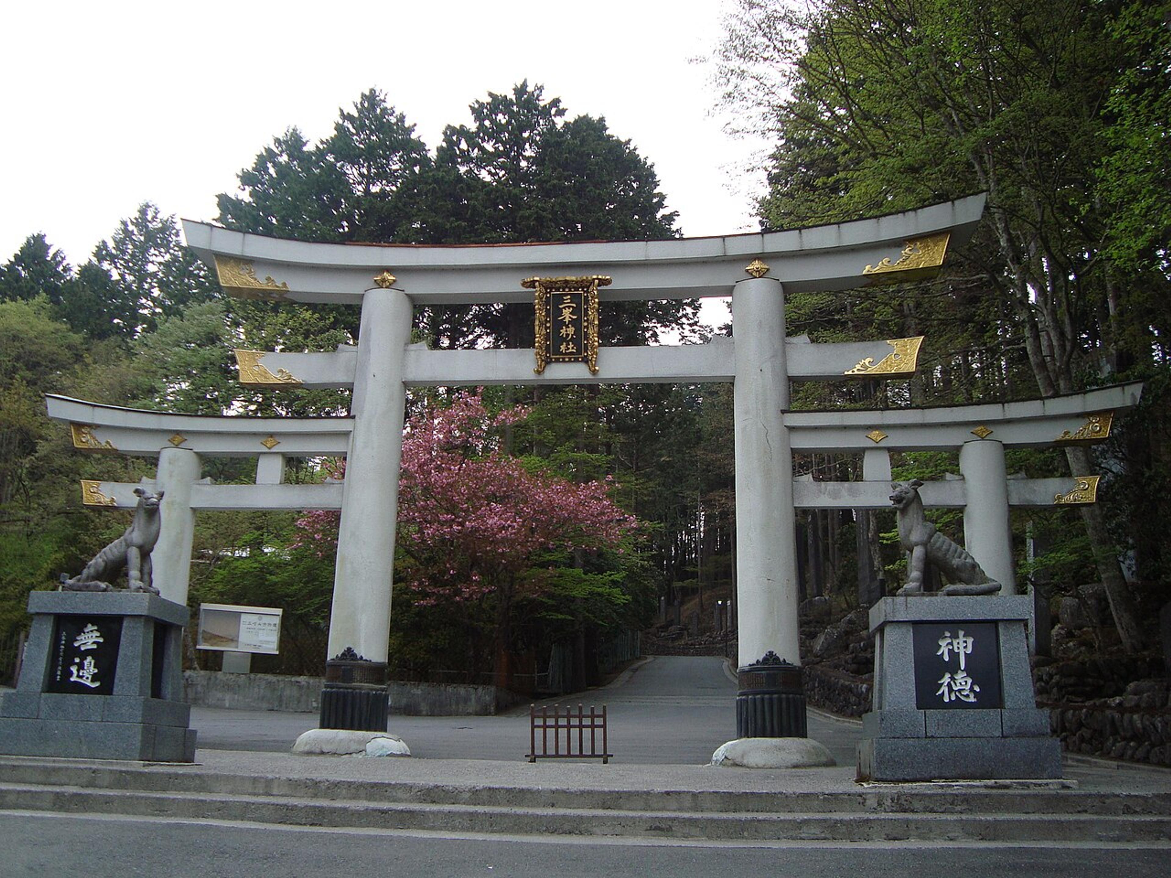 Okutama & Chichibu: Tokyo's Wild Backyard
