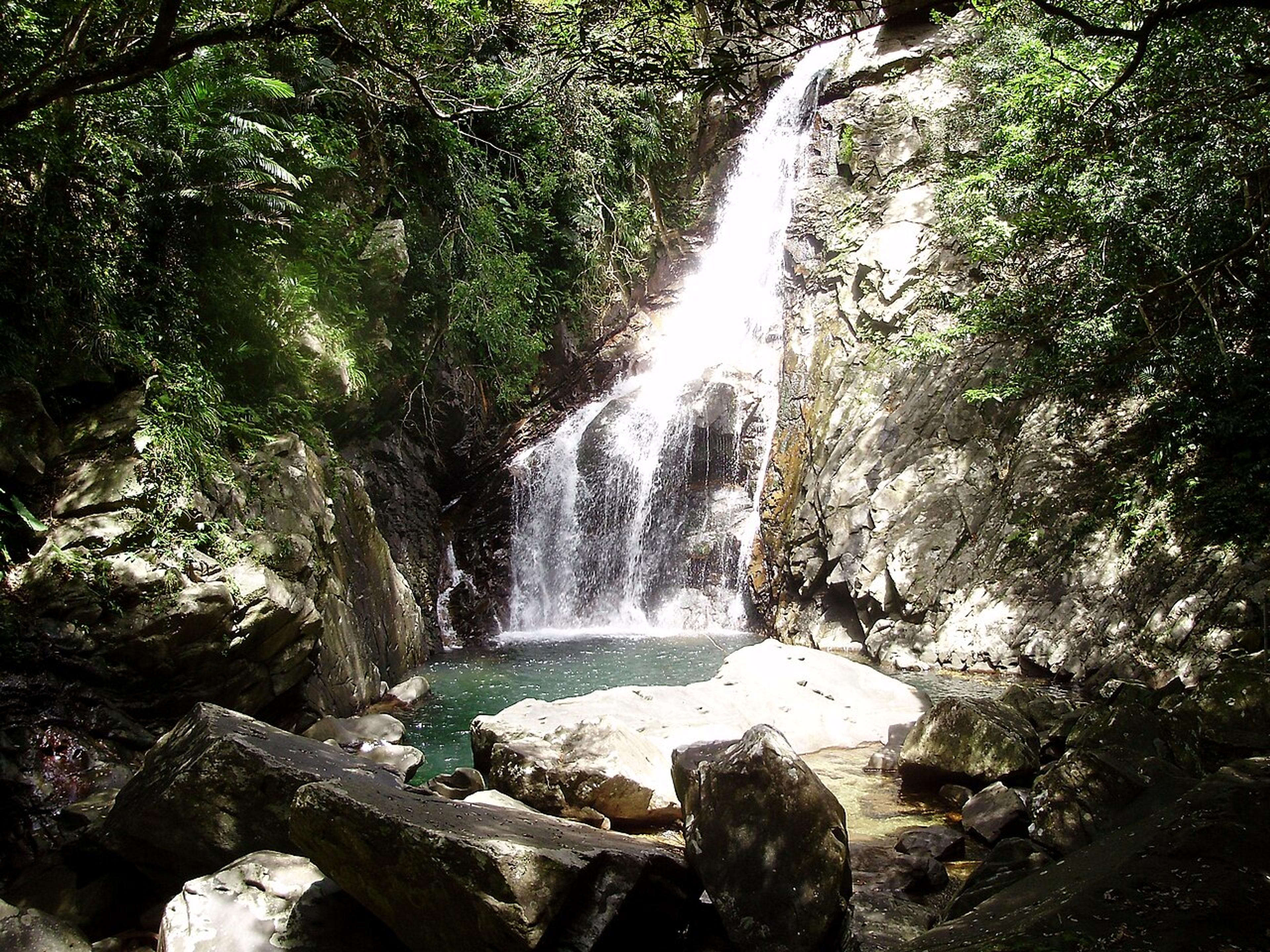 Yanbaru: Okinawa's Wild North