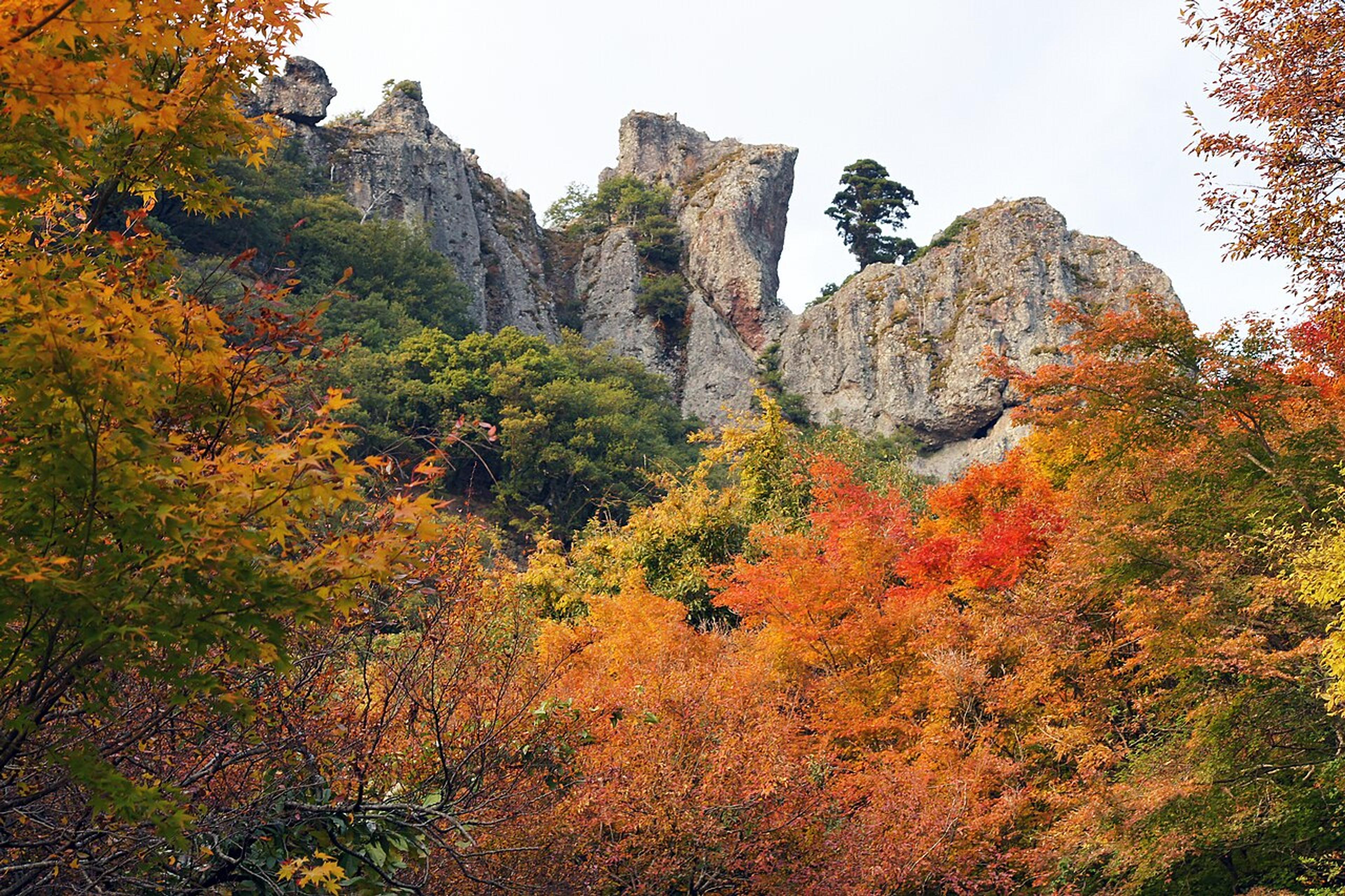 Shodoshima and the Art Islands