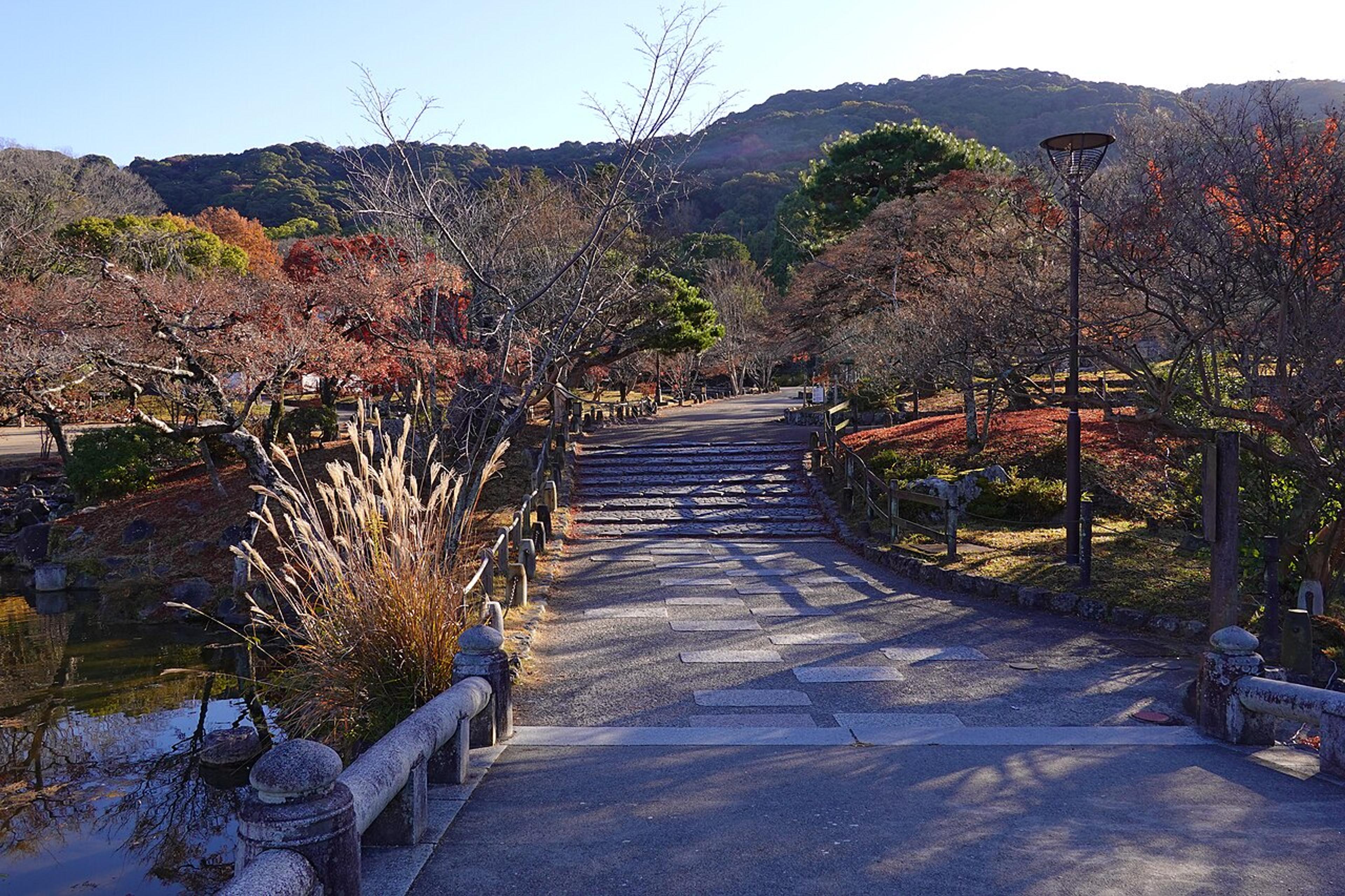 Best Cherry Blossom Spots in Kansai
