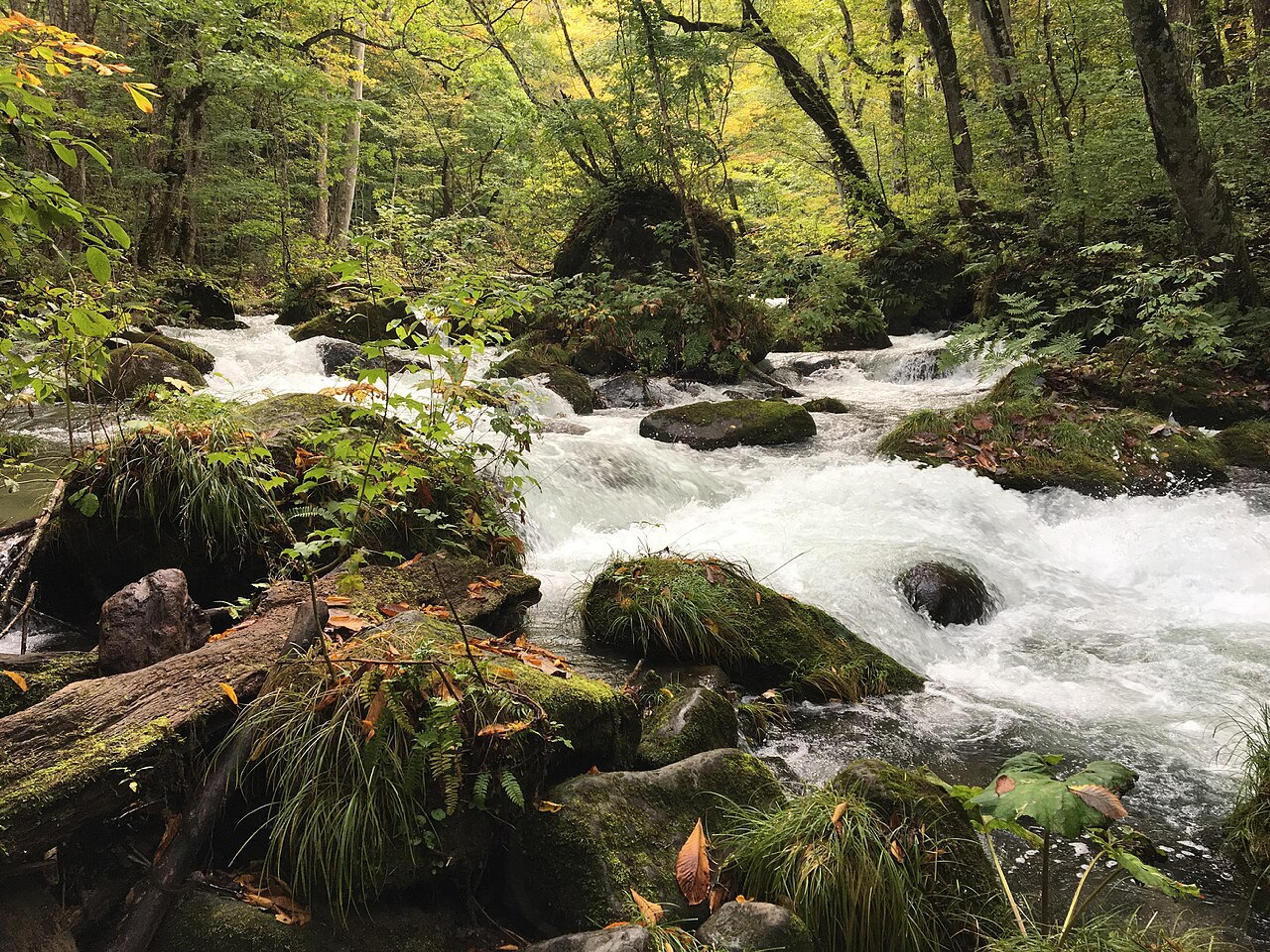 Hidden Gems of Tohoku: Japan's Deep North