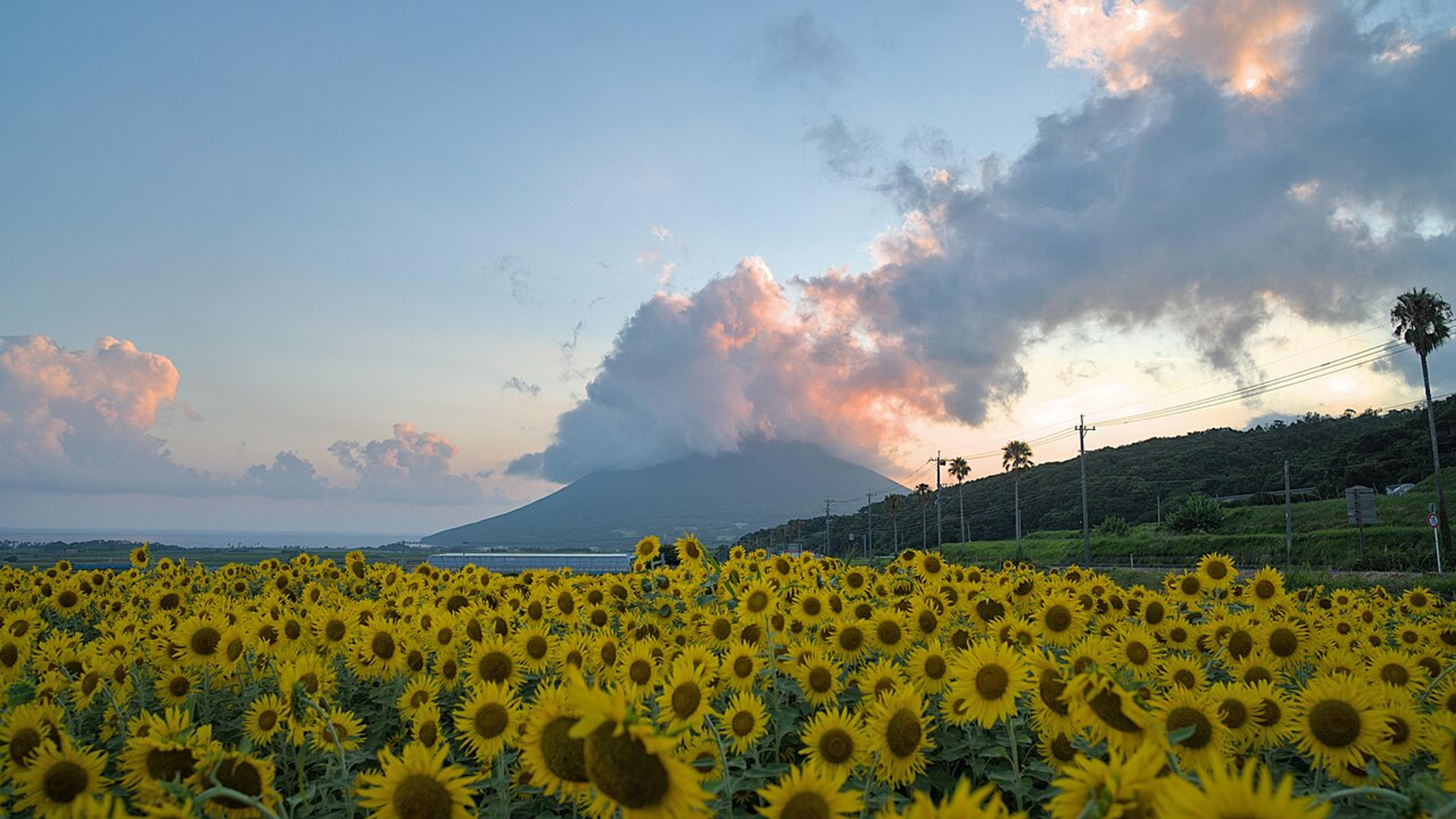 Southern Kyushu in Summer