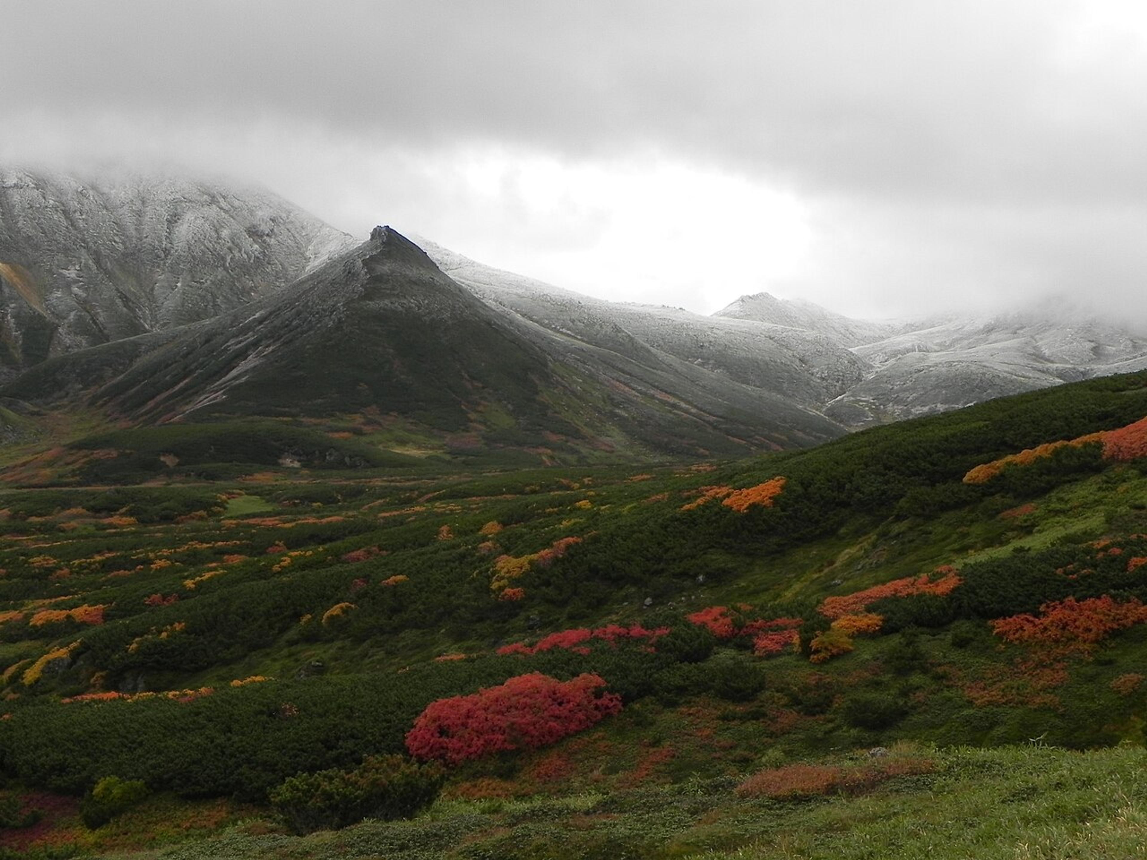 Hokkaido Autumn Road Trip