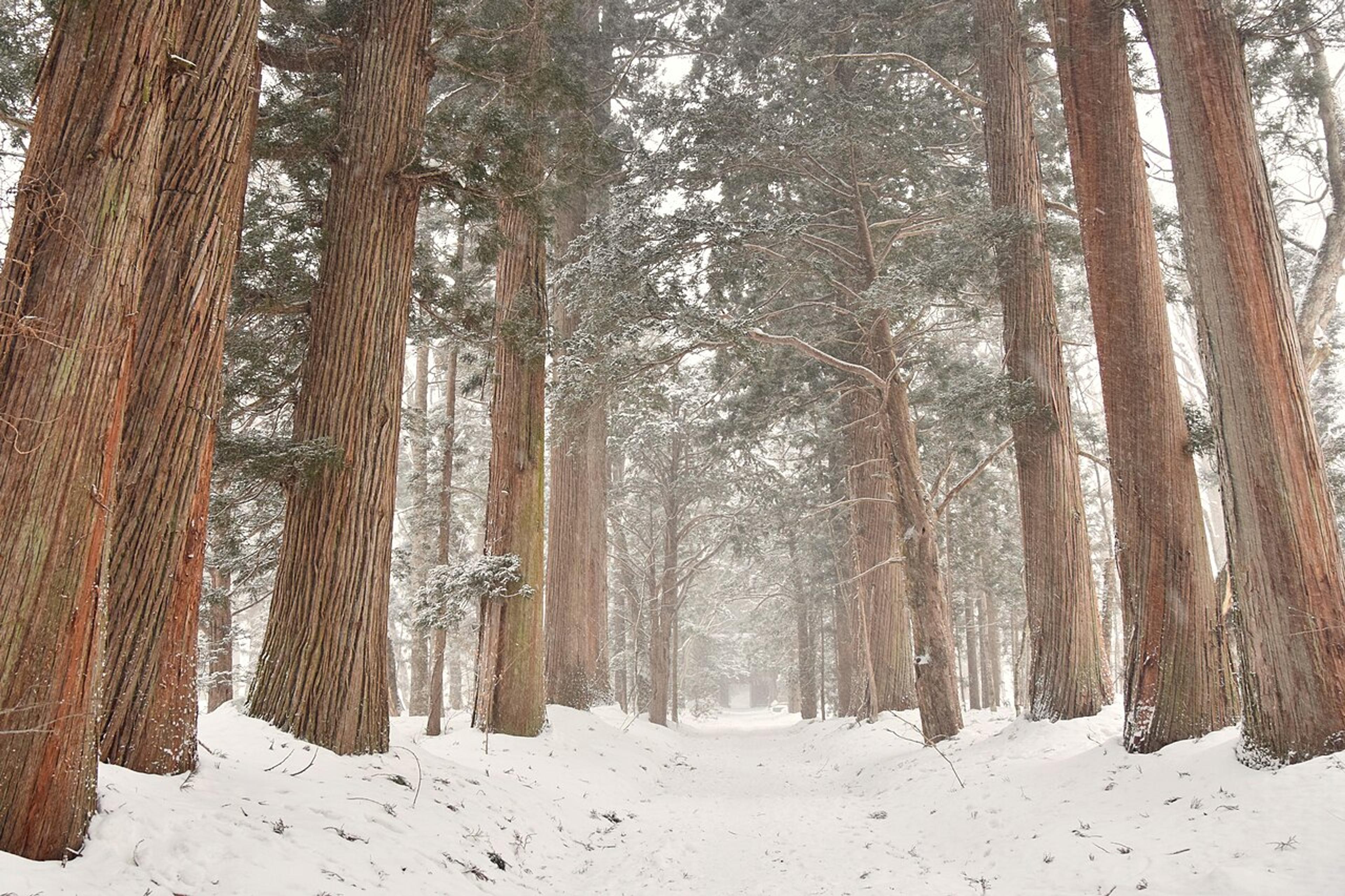 Hidden Gems of the Japan Alps